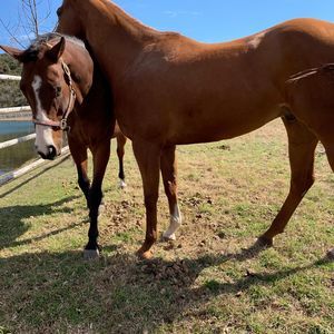 Meet your Posher, Gianna